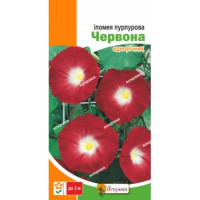 Квіти Іпомея пурпурова Червона 1г