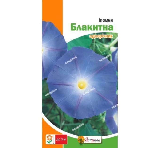 Квіти Іпомея трикольорова Блакитна 1г
