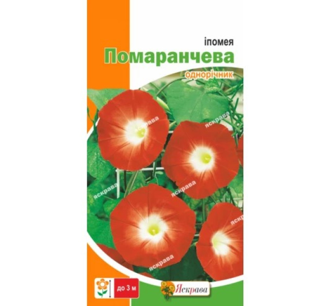 Квіти Іпомея трикольорова Помаранчева 0,5г