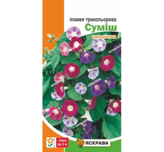 Квіти Іпомея трикольорова Суміш 1г