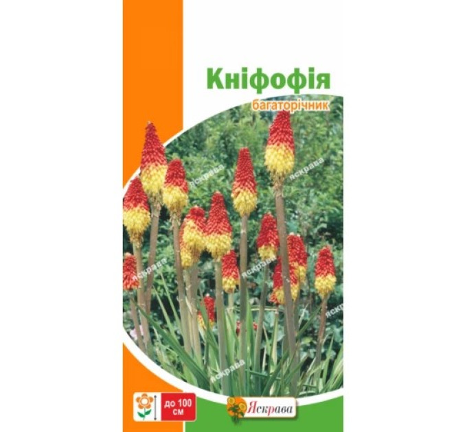 Квіти Кніфофія 0,2г