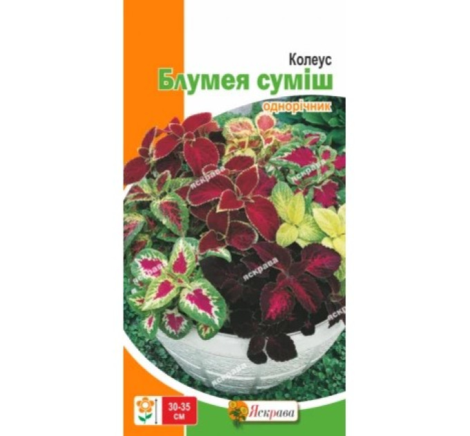 Квіти Колеус Блумея суміш 0,1г