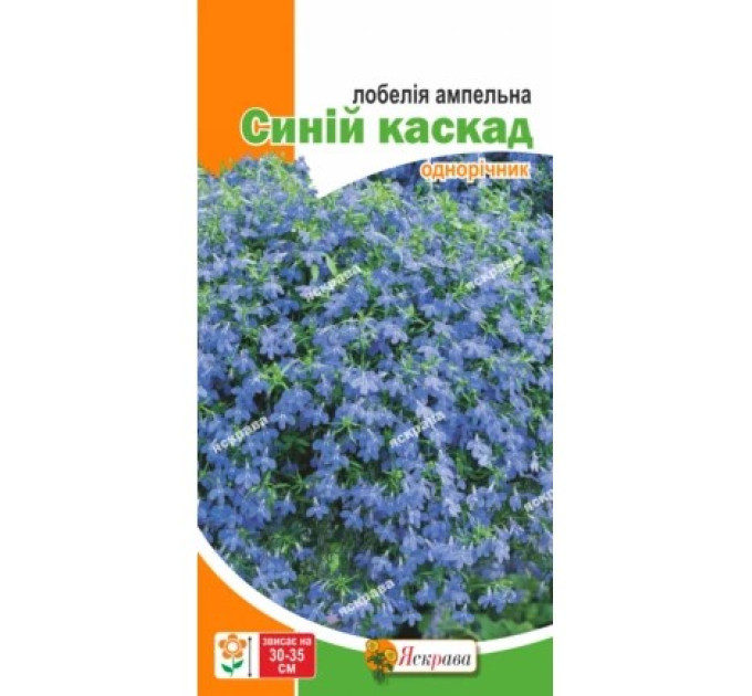 Квіти Лобелія ампельна Синій каскад 0,1г
