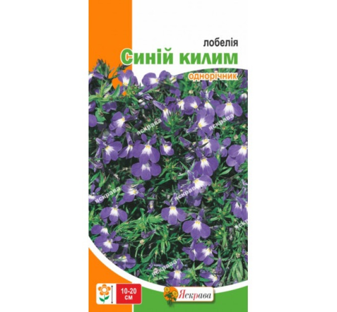 Квіти Лобелія Синій килим 0,1г