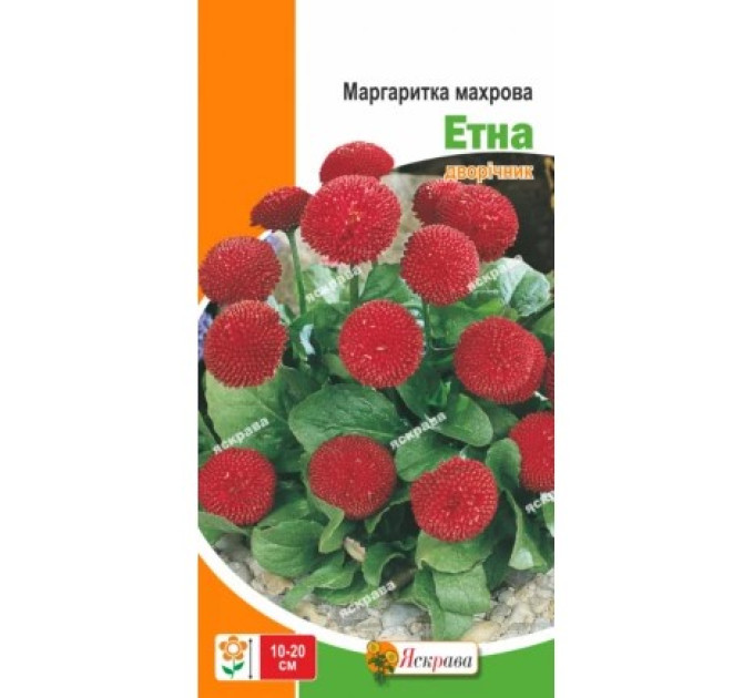 Квіти Маргаритка махрова Етна 0,1г