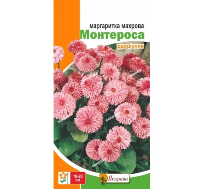 Квіти Маргаритка махрова Монтероса 0,1г