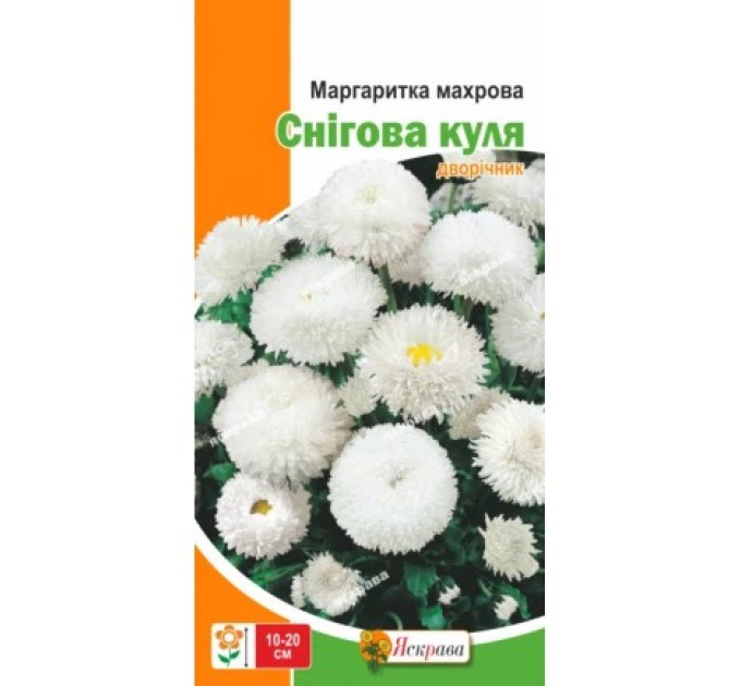 Квіти Маргаритка махрова Снігова куля 0,1г
