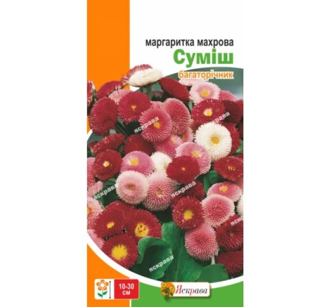 Квіти Маргаритка махрова Суміш 0,1г
