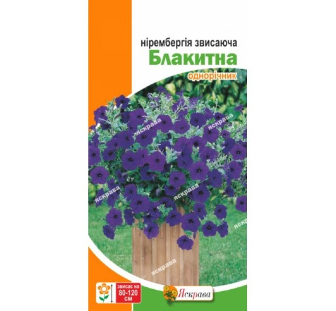 Квіти Нірембергія звисаюча блакитна 0,05г