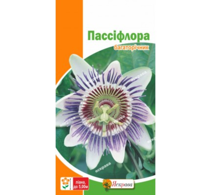 Квіти Пассіфлора (страстоцвіт) 0,1г