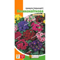 Квіти Першоцвіт великоквітковий (прімула) суміш 0,1г