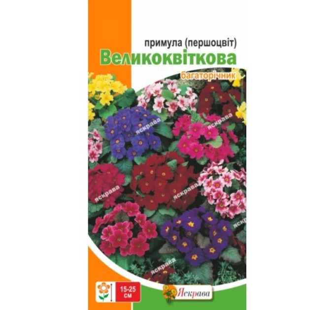 Квіти Першоцвіт великоквітковий (прімула) суміш 0,1г