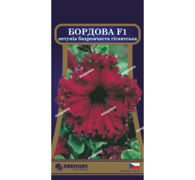 Квіти Петунія бахромчаста гігантська Бордова F1 10 драже