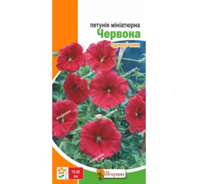 Квіти Петунія мініатюрна Червона 0,1г