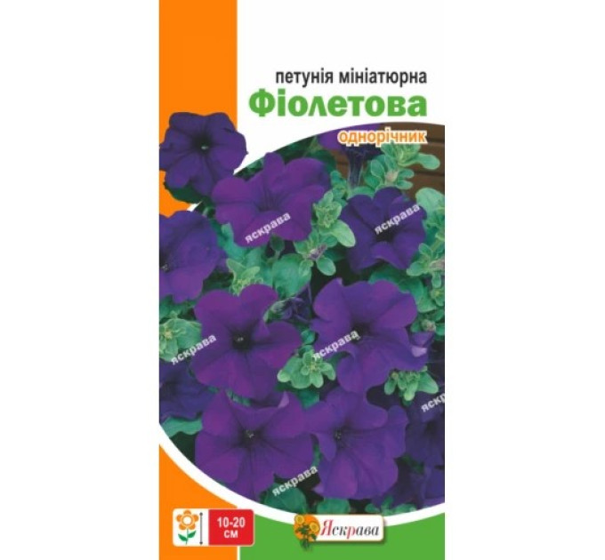 Квіти Петунія мініатюрна Фіолетова 0,1г