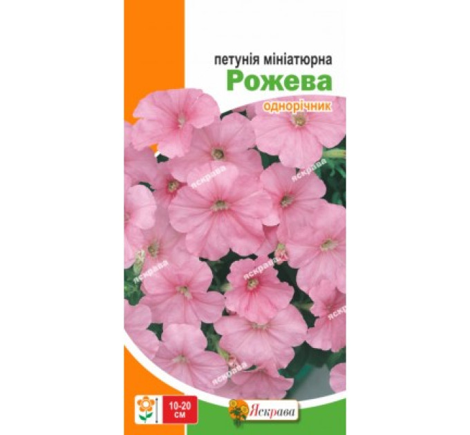 Квіти Петунія мініатюрна Рожева 0,1г