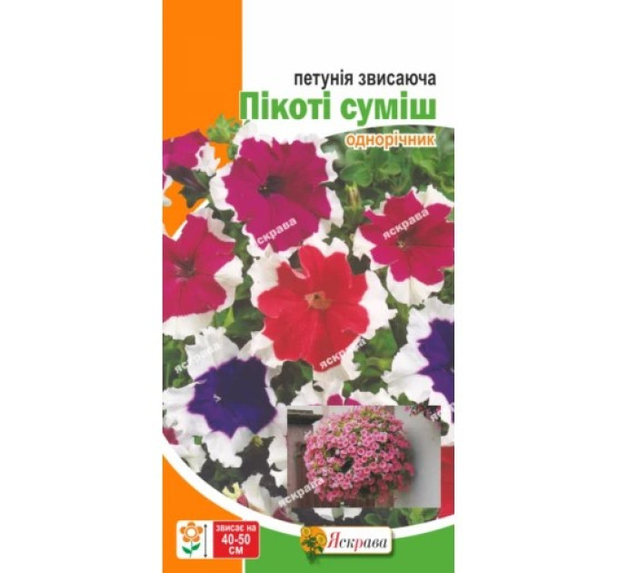 Квіти Петунія великоквіткова Пікоті Суміш 15-20 нас / 0,015г