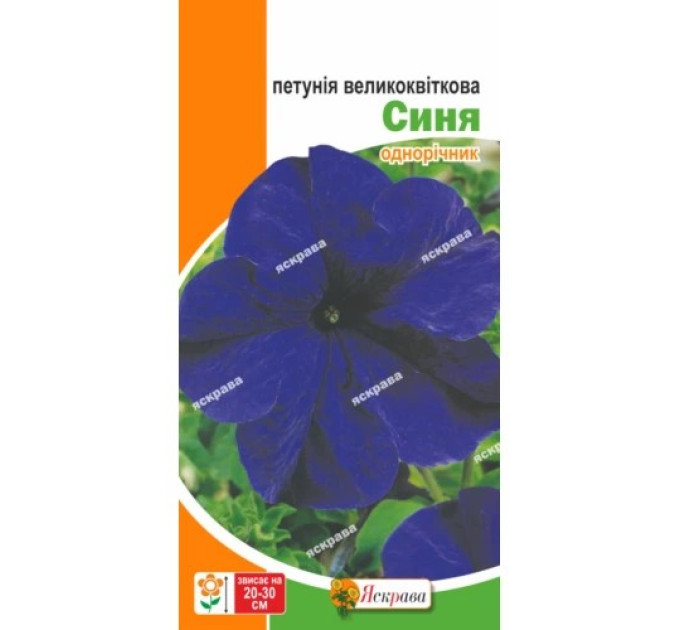 Квіти Петунія великоквіткова Синя 0,015г