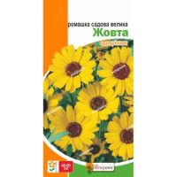 Квіти Ромашка садова великокваткова жовта 0,3г
