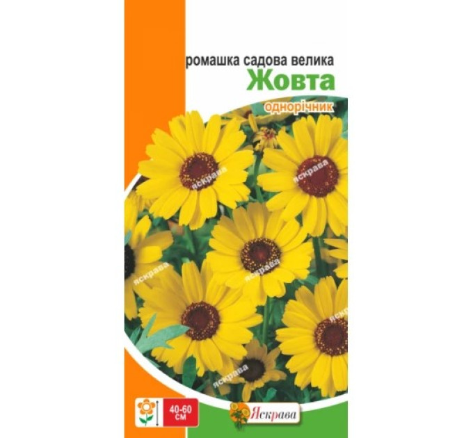 Квіти Ромашка садова великокваткова жовта 0,3г