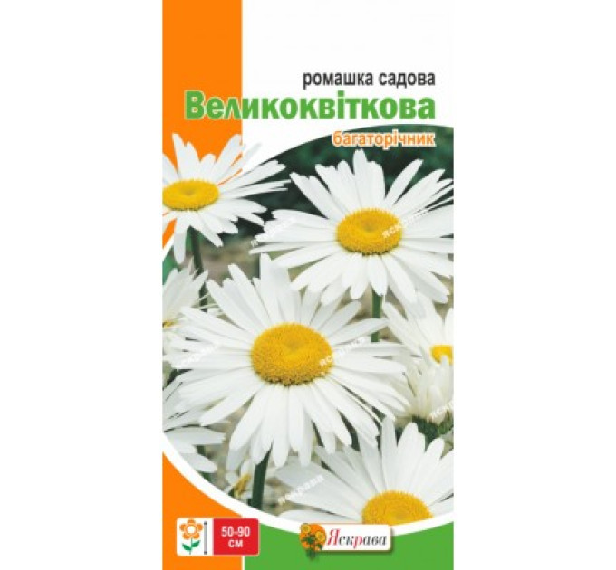 Квіти Ромашка садова великоквіткова біла багаторічна 0,3г