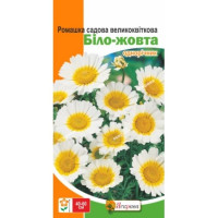 Квіти Ромашка садова великоквіткова бiло-жовта 0,3г