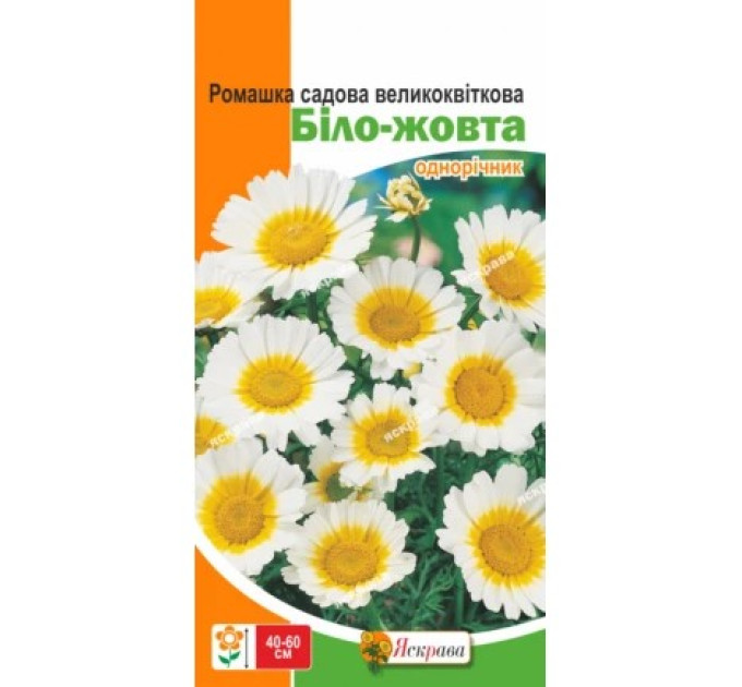Квіти Ромашка садова великоквіткова бiло-жовта 0,3г