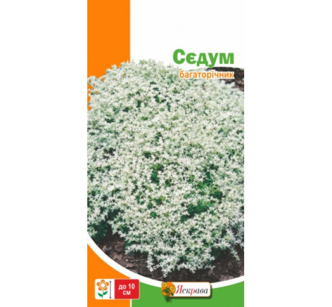 Квіти Седум (очиток) 0,05г