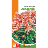 Квіти Шавлія блискуча Лососєва 0,2г