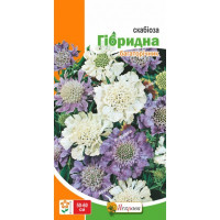 Квіти Скабіоза гібридна багаторічна 0,1г