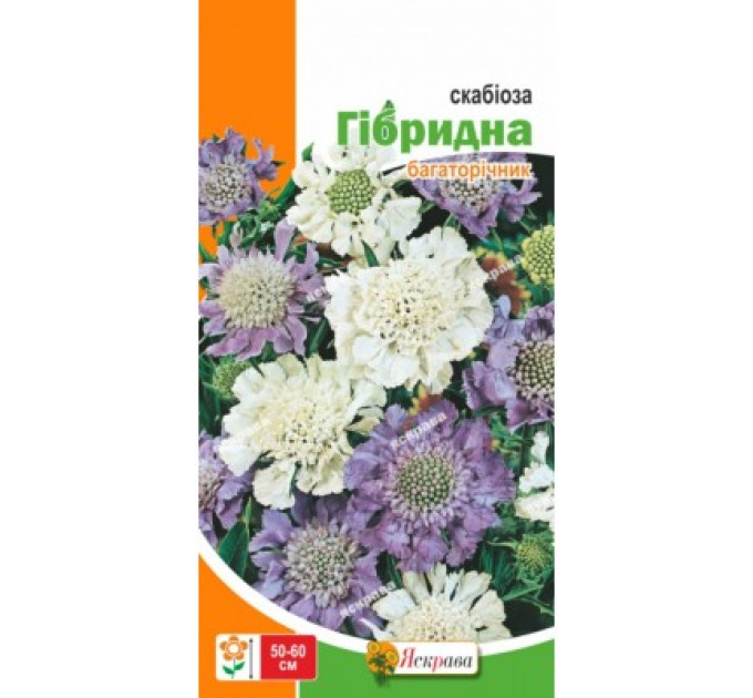 Квіти Скабіоза гібридна багаторічна 0,1г