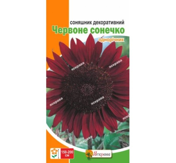 Квіти Соняшник декоративний Червоне сонечко 1г