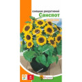 Квіти Соняшник декоративний Санспот 2г
