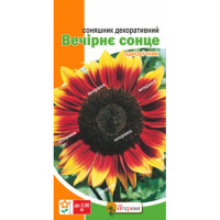 Квіти Соняшник декоративний Вечірнє сонце 2г