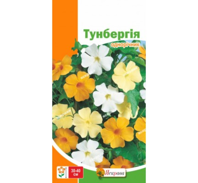 Квіти Тунбергiя 0,2 г