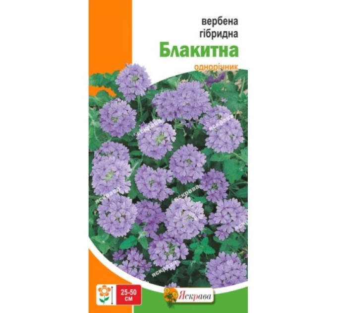 Квіти Вербена гібридна Блакитна 0,1г