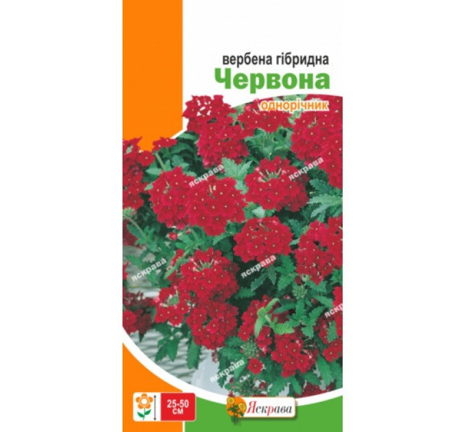 Квіти Вербена гібридна Червона 0,1г