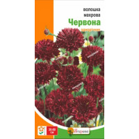 Квіти Волошка махрова Червона 0,5г