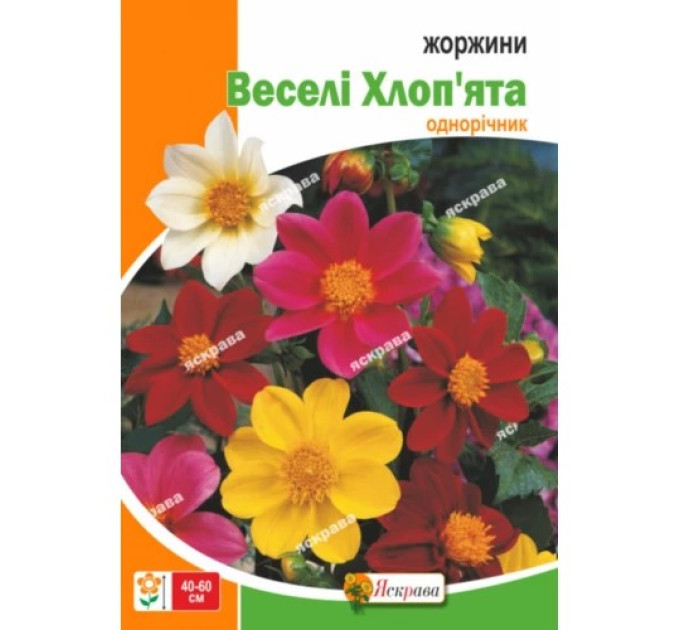 Квіти Жоржини Веселі Хлоп'ята суміш 2г