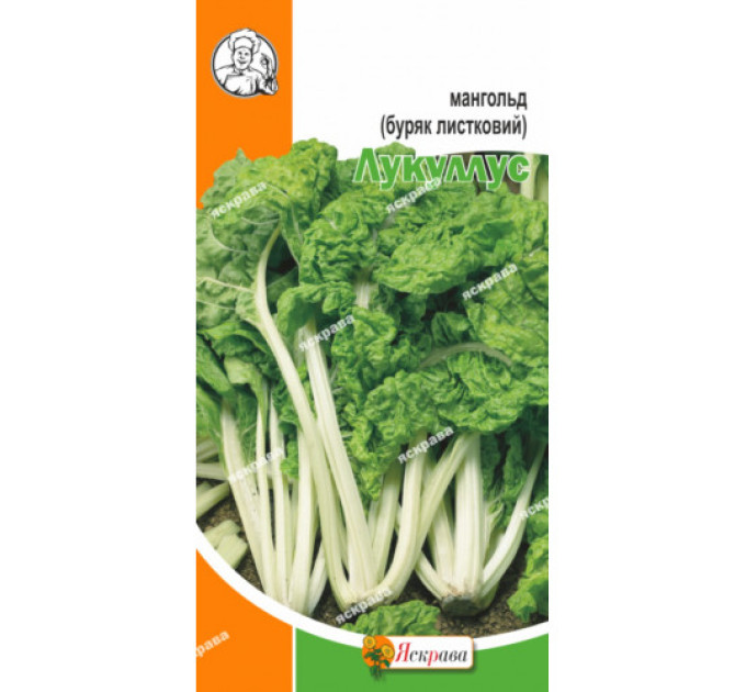 Мангольд зелений Лукуллус (300шт)(буряк листковий) 2 г