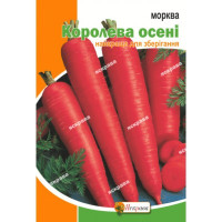 Морква Королева осені 2г