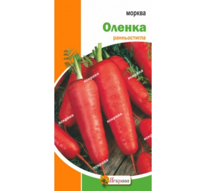 Морква Оленка 2г