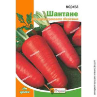 Морква Шантане 10г