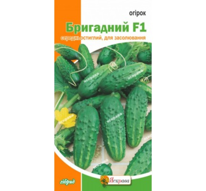 Огірок Бригадний F1 0,5г
