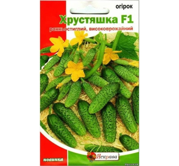 Огірок Хрустяшка  F1  2,5г