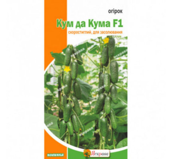 Огірок Кум да Кума F1 0,5г