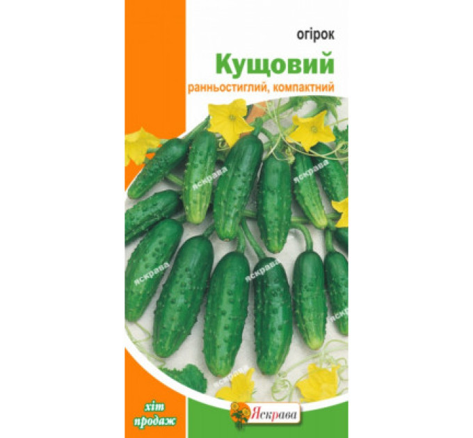 Огірок Кущовий 1г