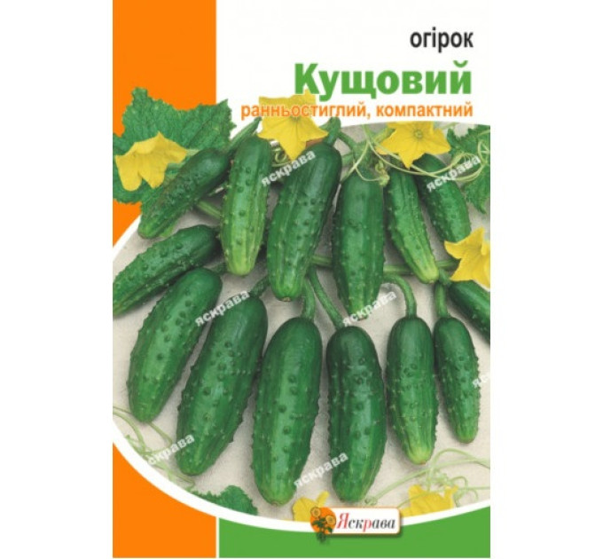 Огірок Кущовий 5г