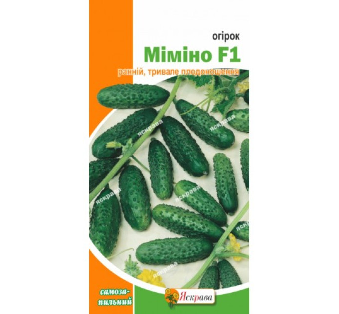 Огірок Міміно  F1 0,3г / Манул