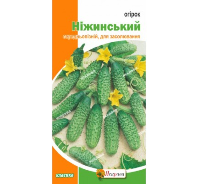 Огірок Ніжинський 1г